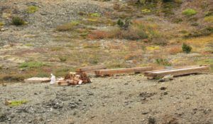 15 heli 3 (Perkins Peak fall colours.)