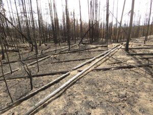 18 now (Life after the fire)