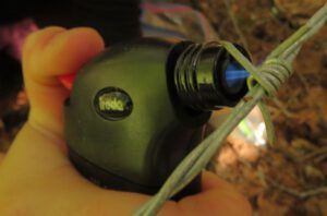 22 burning hair off (Bella Coola Valley interim)