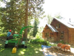 28 tree limbing house (Bella Coola Valley interim)