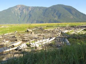 29 SAR tideflats best (Bella Coola Valley interim)