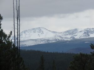 31 snow (Life after the fire)