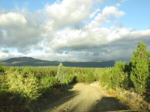 4 shadows (Perkins Peak fall colours.)