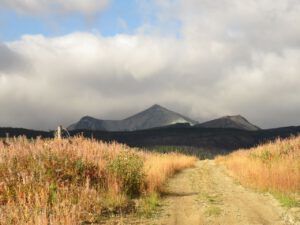 7 deep shadow (Perkins Peak fall colours.)