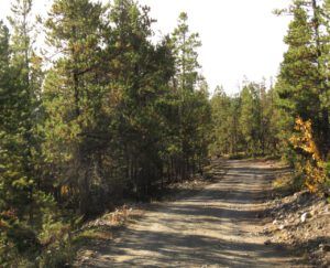 1 unburned road (Road metamorphosis)