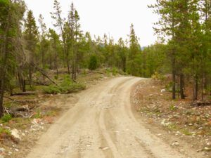 2 road (Road metamorphosis)