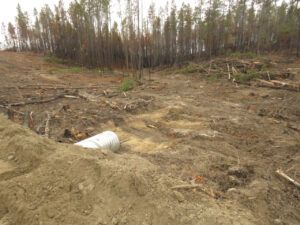 27 The Lake (Road metamorphosis)