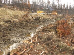 30 boghole 2 (Road metamorphosis)