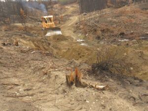 31 boghole 3 (Road metamorphosis)