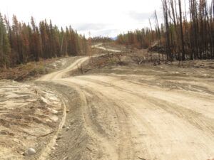 37 road done for now (Road metamorphosis)