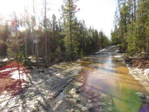 5 the lake (Road metamorphosis)