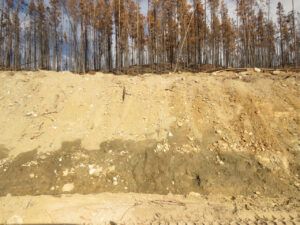 above boghole (Road metamorphosis)