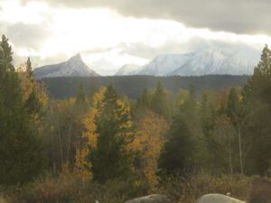 brilliance over. (Ginty Creek Fall Colours)