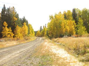 fall 10 (Ginty Creek Fall Colours)