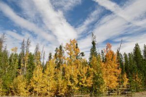 fall 11 (Ginty Creek Fall Colours)