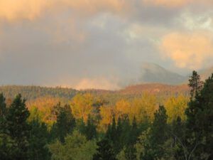 fall 2 (Ginty Creek Fall Colours)