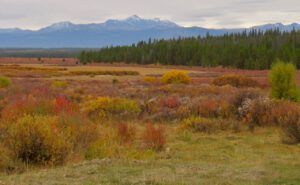 fall 6 (Ginty Creek Fall Colours)