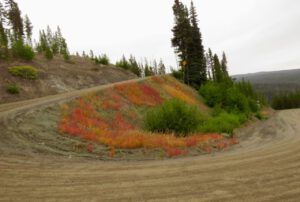 fall 8 (Ginty Creek Fall Colours)