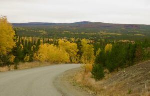 fall with fire (Ginty Creek Fall Colours)