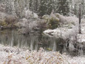 snow 9 (sunrises and snow)