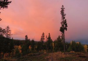 sunrise 4 (sunrises and snow)