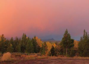 sunrise 6 (sunrises and snow)