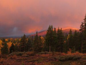 sunrise 8 (sunrises and snow)