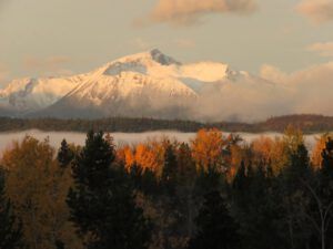 1 last of the fall (segueing into november)