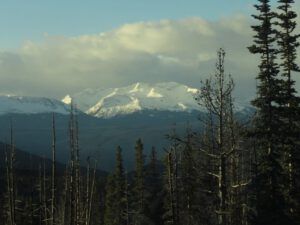 14 top of Hill (Pepita)