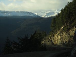 14a half way down (Pepita)