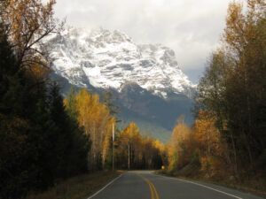 16 Stupendous (Pepita)