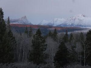 24 dull bit of morning sun (segueing into november)