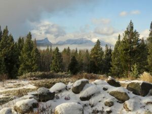 nov 13 (segueing into november)