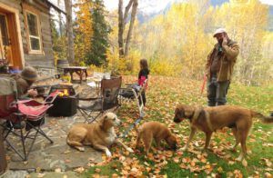 6 pepita – hand-0ver. (Pepita)