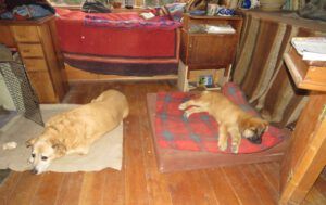 pepita 7 appropriating bed (Pepita)