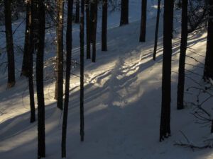 21 sun shaft (Getting Wintry)