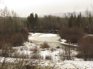 6 warm, river up (Getting Wintry)