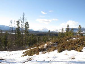 4 north bluff (Getting Wintry)