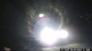 Digital Camera (Newsletters)