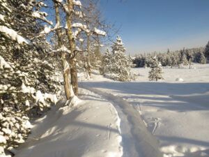 13 trail (real winter)