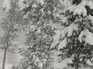 19 snowstorm (real winter)