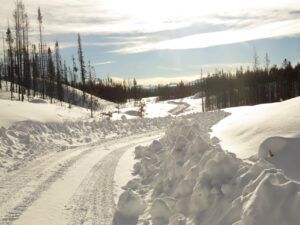 33 Jan 10th (real winter)