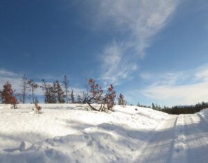 12 whispy cloud road (THE BIG THAW)