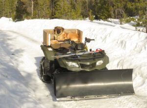 3 Pepita on ATV (THE BIG THAW)