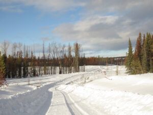 4 burned road (THE BIG THAW)