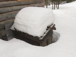6 dog kennel (THE BIG THAW)