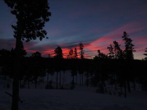 IMG_6648 (THE BIG THAW)