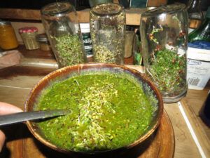 soup (THE BIG THAW)