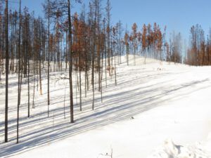 1 road good. (February 2022)