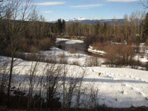 17 river (Spring Solstice Again)